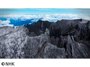 地球(アース)トラベラー　ボルネオ“死者の谷”に挑む　マレーシア・キナバル山
