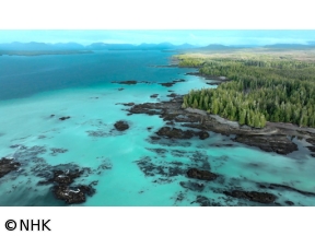 ダーウィンが来た！「生きもの大集合！謎の白い海」