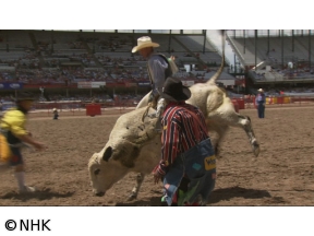 ４Ｋプレミアムカフェ　選　カウボーイの魂　ロデオの祭典