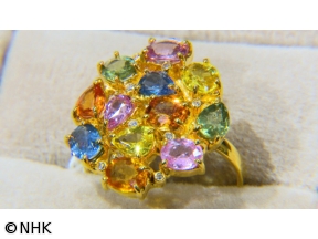 体感！グレートネイチャー　誕生！サファイアとルビーの宝石島〜スリランカ〜