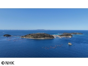 発見！離島のほんわか暮らし４世代１４人フグ養殖　松島湾無料渡船　絶品かまぼこ