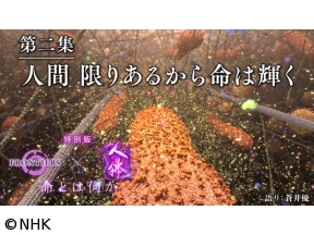 フロンティア　選　人体　特別版　第二集　人間　限りあるから命は輝く
