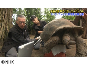 ４Ｋプレミアムカフェ　世界最高峰！　スイス・チューリヒ動物園の舞台裏
