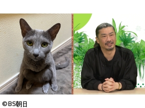 ネコいぬワイドショー　【ゲスト】菅良太郎(パンサー)