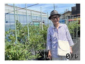 ぶらり途中下車の旅驚き！バルーンで作った豪華ドレス＆野菜補給専門スープカレー