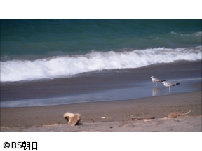 子供たちに残したい　美しい日本のうた　＃139