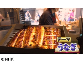 出川哲朗のクイズほぉ〜スクール　QuizKnockが出題！うなぎのヒミツ