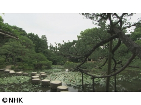 ４Ｋプレミアムカフェ　日本　庭の物語