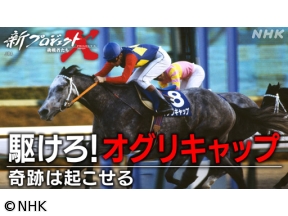新プロジェクトX〜挑戦者たち〜　駆けろ！オグリキャップ〜奇跡はおこせる〜