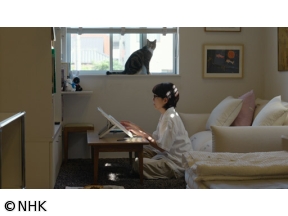 ネコメンタリー　猫も、杓子（しゃくし）も。　嶋津輝と三九