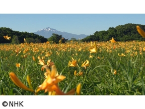 さわやか自然百景　青森　屏風山湿原池沼群
