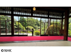 村雨さんと日本庭園たしなみ巡り　山本亭