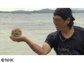 ４Ｋプレミアムカフェ　選　アジアリゾートへの招待　緑輝く島パラワン（０１年）