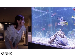 ザ・バックヤード　知の迷宮の裏側探訪　すみだ水族館