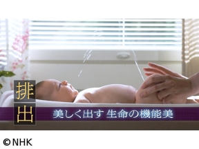 ヒューマニエンス　４０億年のたくらみ「排出」　美しく出す　生命の機能美