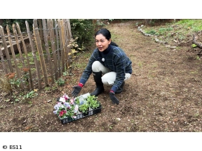 黒谷友香、お庭つくります　冬に楽しむパンジービオラで彩る&お役立ち園芸便利グッズ