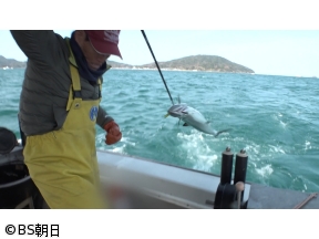 魚が食べたい!　「玄界灘のサワラ漁と若き名人のカキ養殖に密着!」