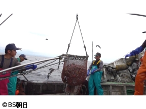 魚が食べたい!　「トリガイ漁にメヒカリ漁!いつ帰れるかわからない!?」