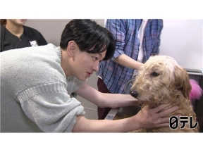 嗚呼!!みんなの動物園ティモンディ前田×激かわ子猫の人なれに津田健次郎参戦！