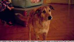 犬の裁判（字幕版）