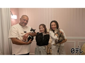 嗚呼!!みんなの動物園保護猫58匹育てたアイドル訪問でラミレス家ビビリ猫に奇跡