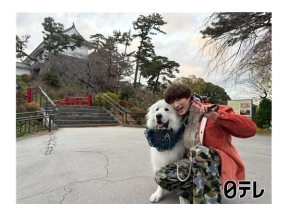 笑ってコラえてジェシーがワンワンの旅参戦！大型犬と全力疾走!?冬の小田原グルメ旅