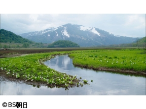 子供たちに残したい　美しい日本のうた　＃135