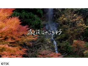 森と渓谷のごちそう　#2