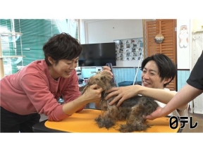 嗚呼!!みんなの動物園3時間SP池崎×保護猫新章スタート&72匹の犬レスキュー