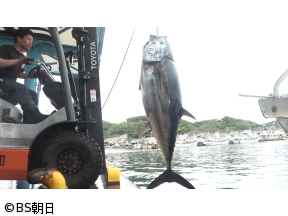 魚が食べたい!-地魚さがして3000港-　「100キロ超えのクロマグロスペシャル!」