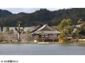 京都浪漫　悠久の物語【夏の花の古寺巡礼〜大覚寺・勧修寺・西林寺・宝泉寺〜】