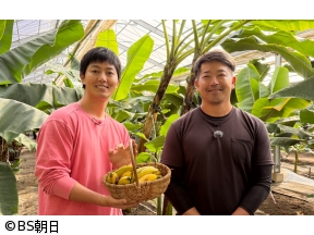 工藤阿須加が行く 農業始めちゃいました　▽希少品種のバナナを栽培!