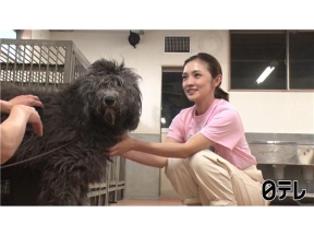 嗚呼!!みんなの動物園2時間SP池崎家にダイアン津田&花*花おの家に猪俣周杜!