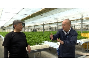 ガイアの夜明け 【野菜価格を守る0℃保存】 猛暑・災害に挑む新冷蔵技術とは?