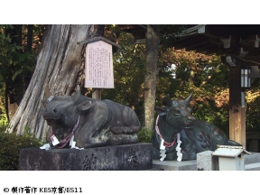 京都浪漫　悠久の物語「天才武将・細川幽斎に思いを馳せる旅〜長岡天満宮ほか」