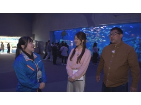 新・ええじゃないか〜いい旅  いい発見〜　「コスパ抜群!鳥羽ゆったり旅」
