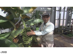 新　窓をあけて九州▼ようこそ癒やしの植物園へ