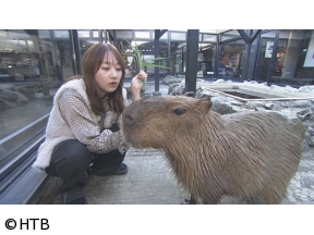 LOVE HOKKAIDO 石狩を味わおう！石狩鍋に舌鼓！森の中にこだわりくん製