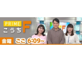 プライムこうちF