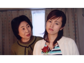 ミステリー・セレクションおばさん会長・紫の犯罪清掃日記ゴミは殺しを知っている７