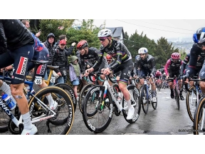 ラ・フレーシュ・ワロンヌ2026 Cycle*