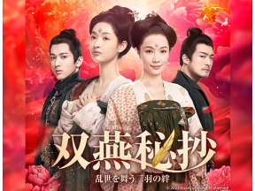 中国ドラマ 双燕秘抄 乱世を舞う二羽の絆 第13話(字幕)