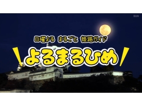 日曜よるまるひめ