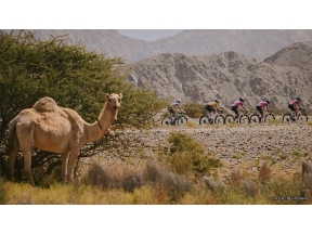 ツアー・オブ・オマーン2026 ハイライト Cycle*