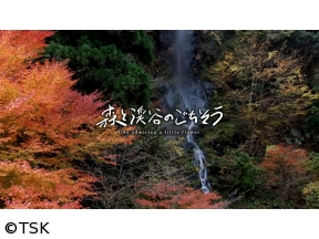 森と渓谷のごちそう　#2