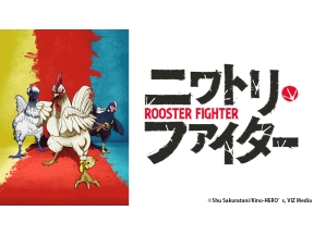 アニメ　ニワトリ・ファイター　第一羽