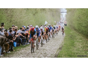 【タデイ・ポガチャル特集 2025ベストレース!】パリ〜ルーベ2025 Cycle*