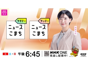 ニュースこまちサンデー