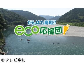 がんばれ高知!!eco応援団