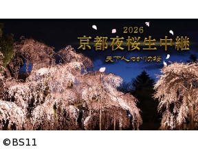 京都夜桜生中継「天下人の桜」世界遺産・醍醐寺、二条城、北野天満宮、建勲神社ほか